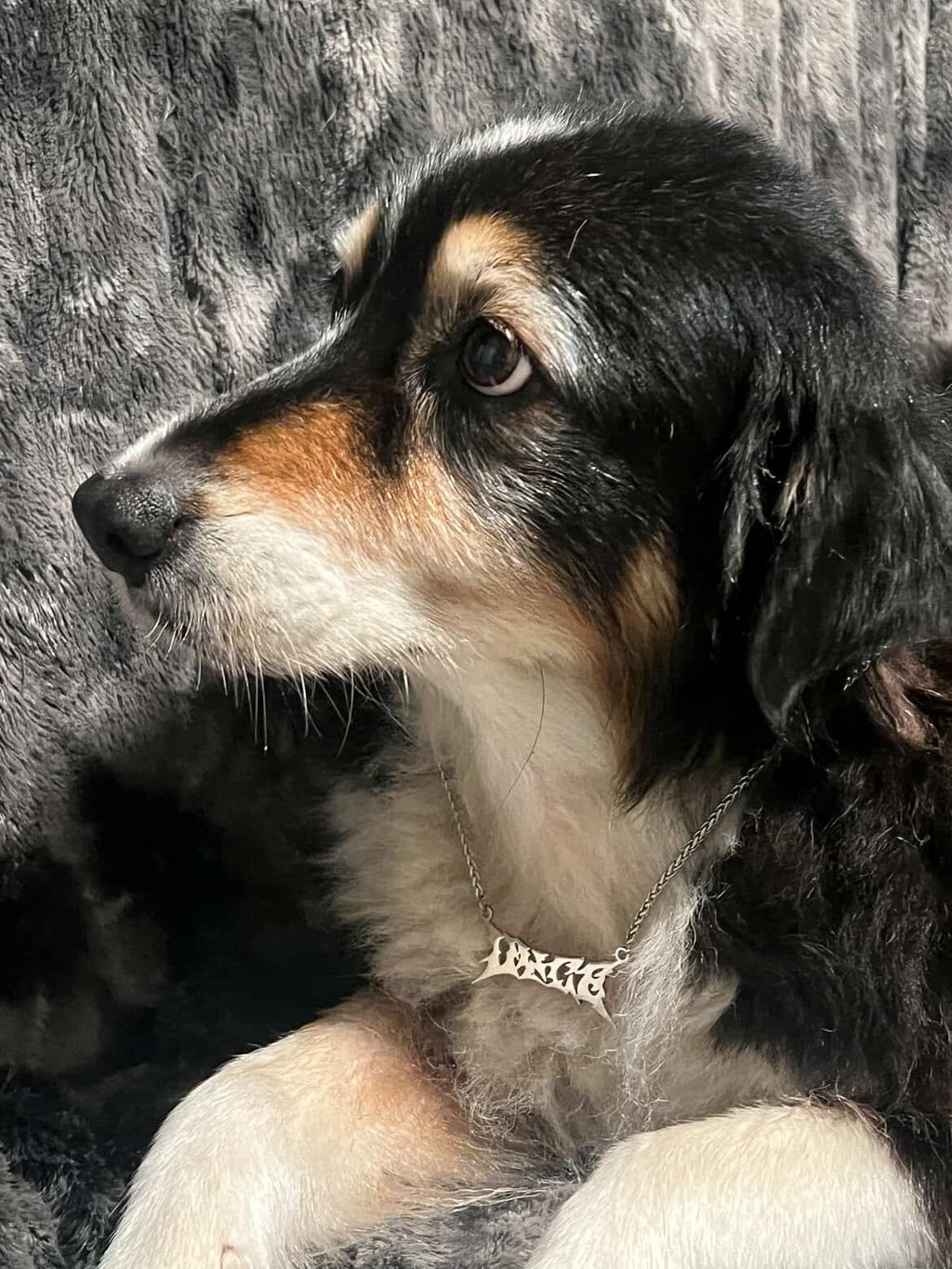 Vyce chain (limited edition)